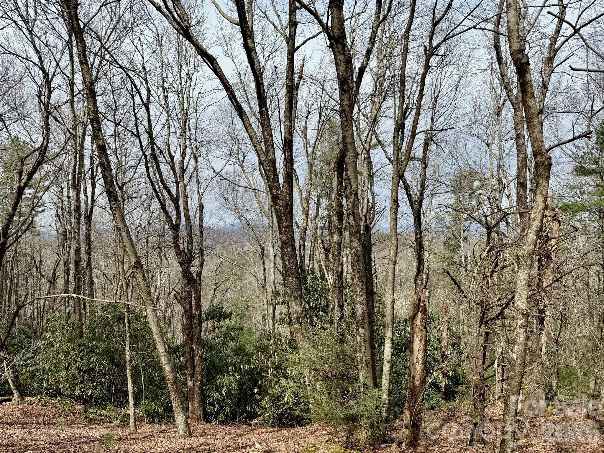 Tbd Grandview Drive Boone NC 28607