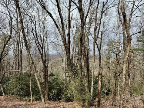 Tbd Grandview Drive Boone NC 28607