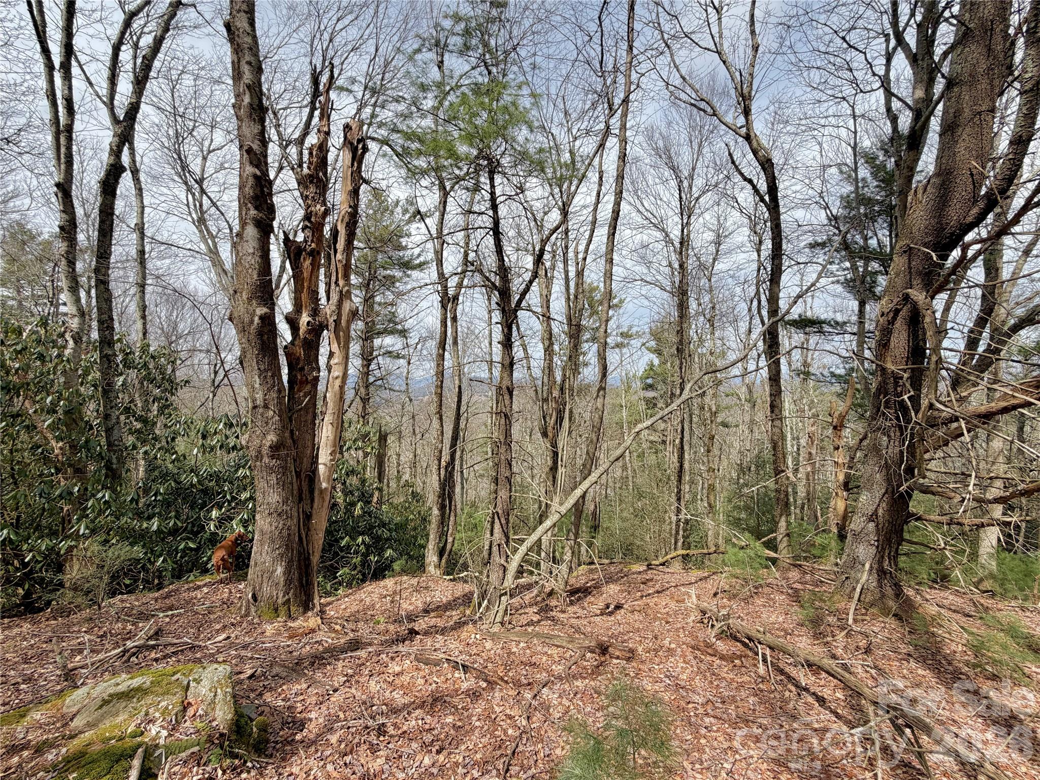 Tbd Grandview Drive Boone NC 28607