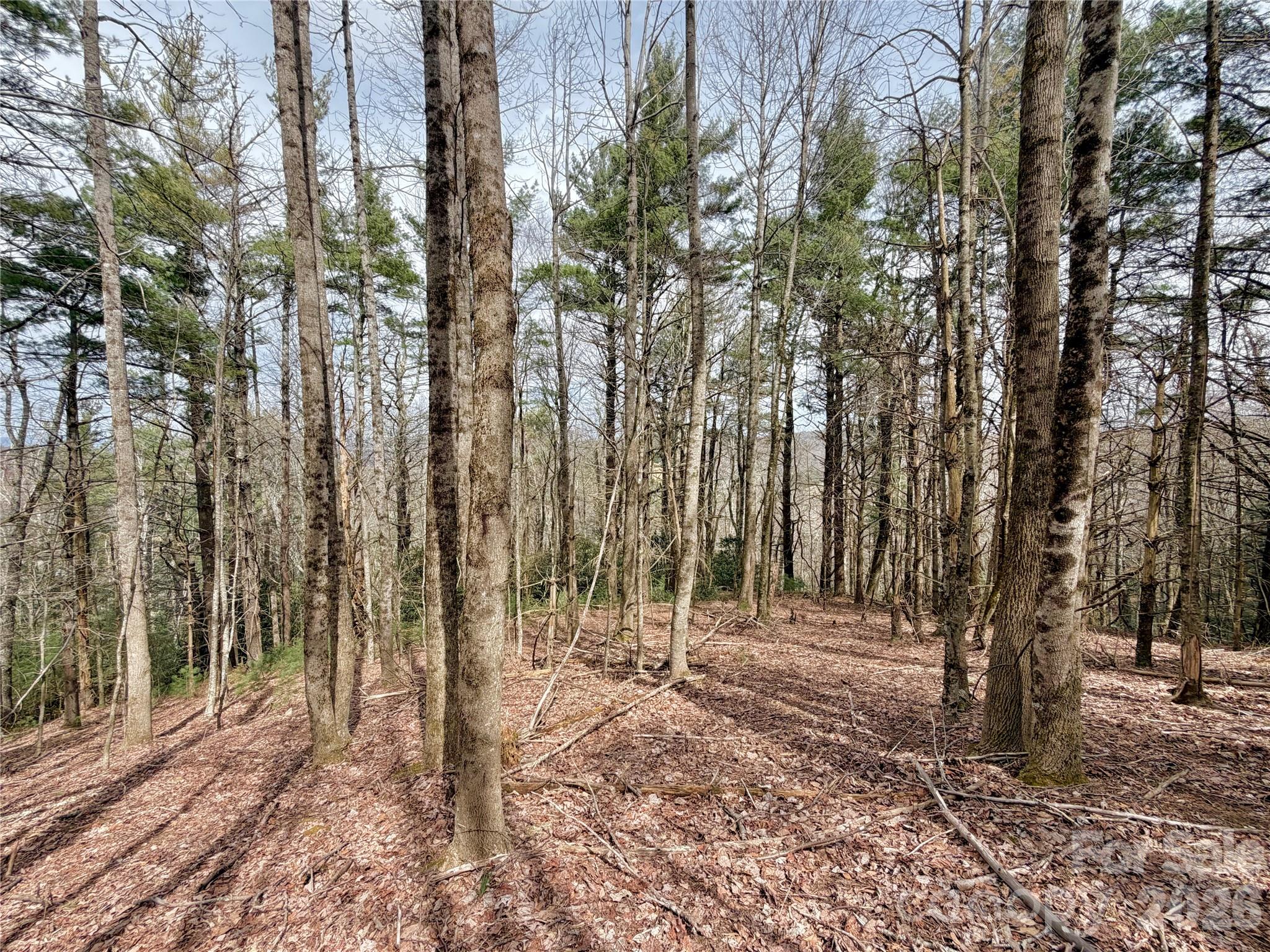 Tbd Grandview Drive Boone NC 28607