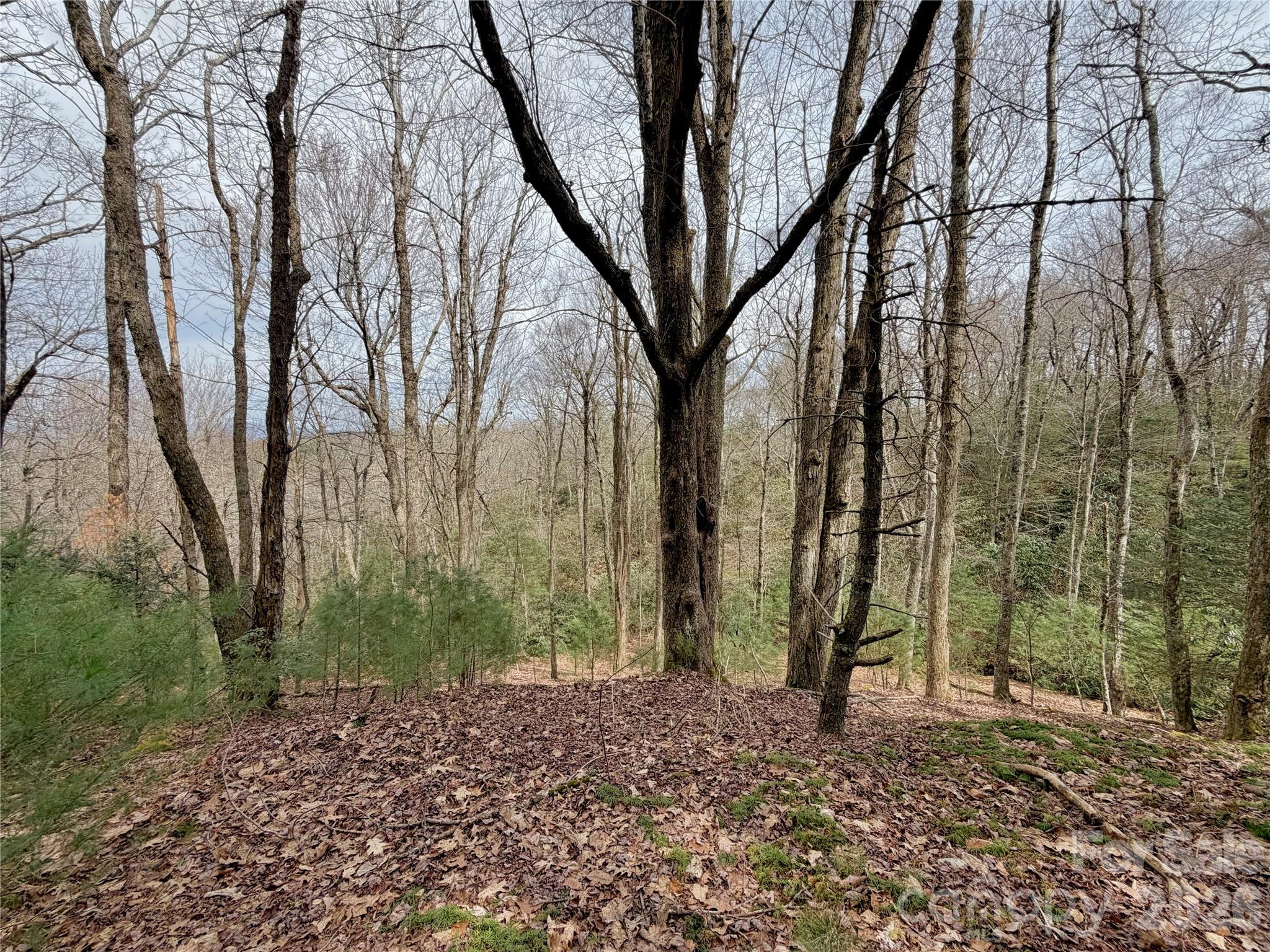 Tbd Grandview Drive Boone NC 28607