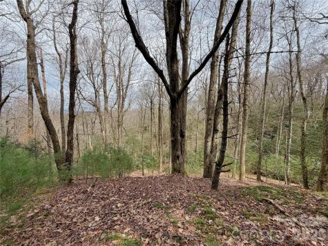 Tbd Grandview Drive Boone NC 28607