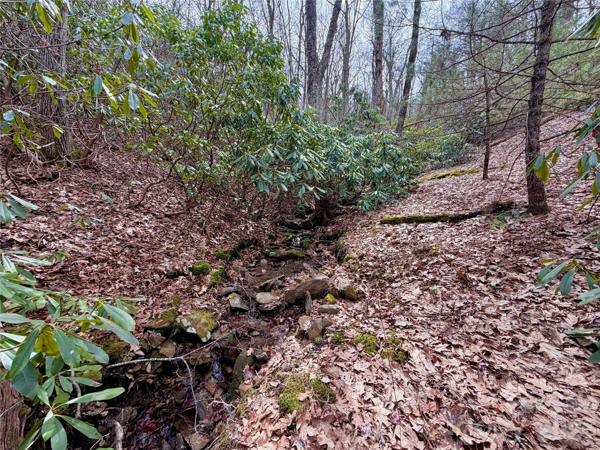 Tbd Grandview Drive Boone NC 28607