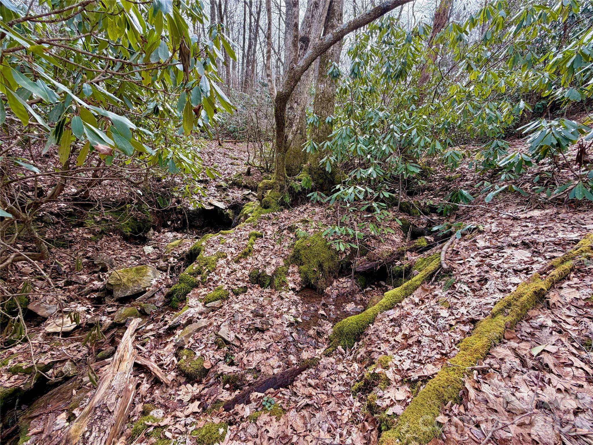 Tbd Grandview Drive Boone NC 28607