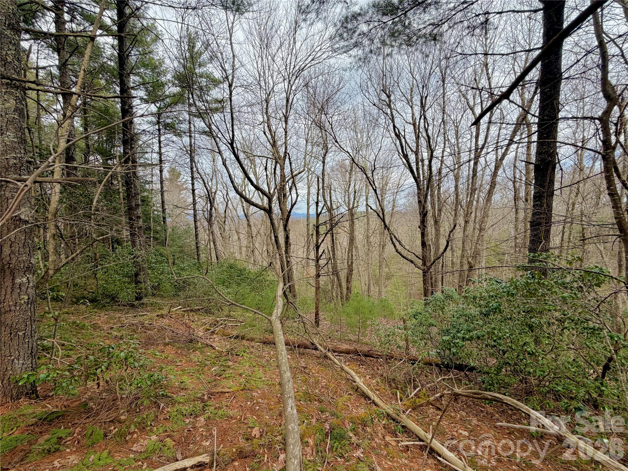 Tbd Grandview Drive Boone NC 28607