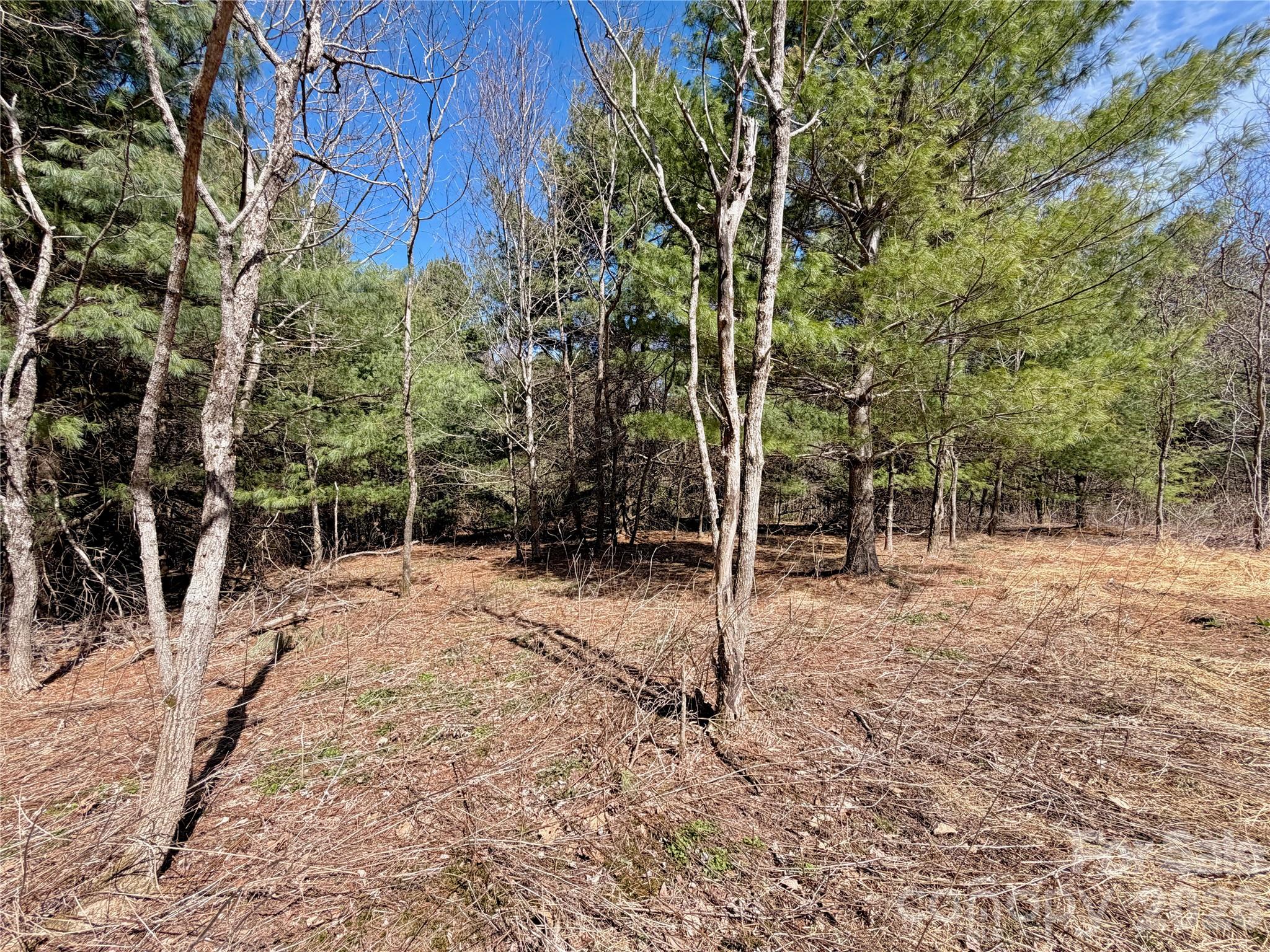Tbd Grandview Drive Boone NC 28607