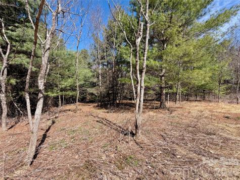 Tbd Grandview Drive Boone NC 28607