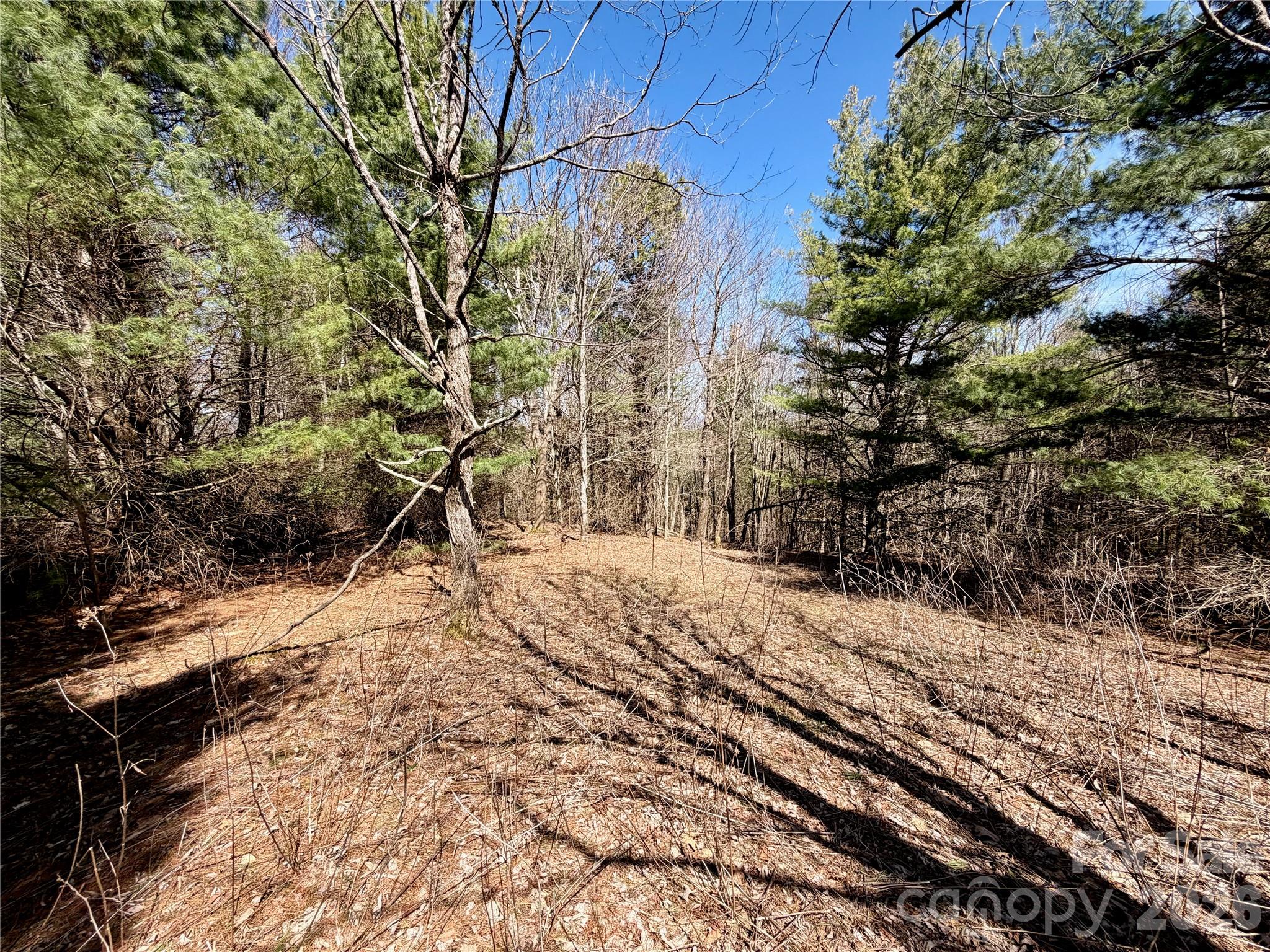 Tbd Grandview Drive Boone NC 28607