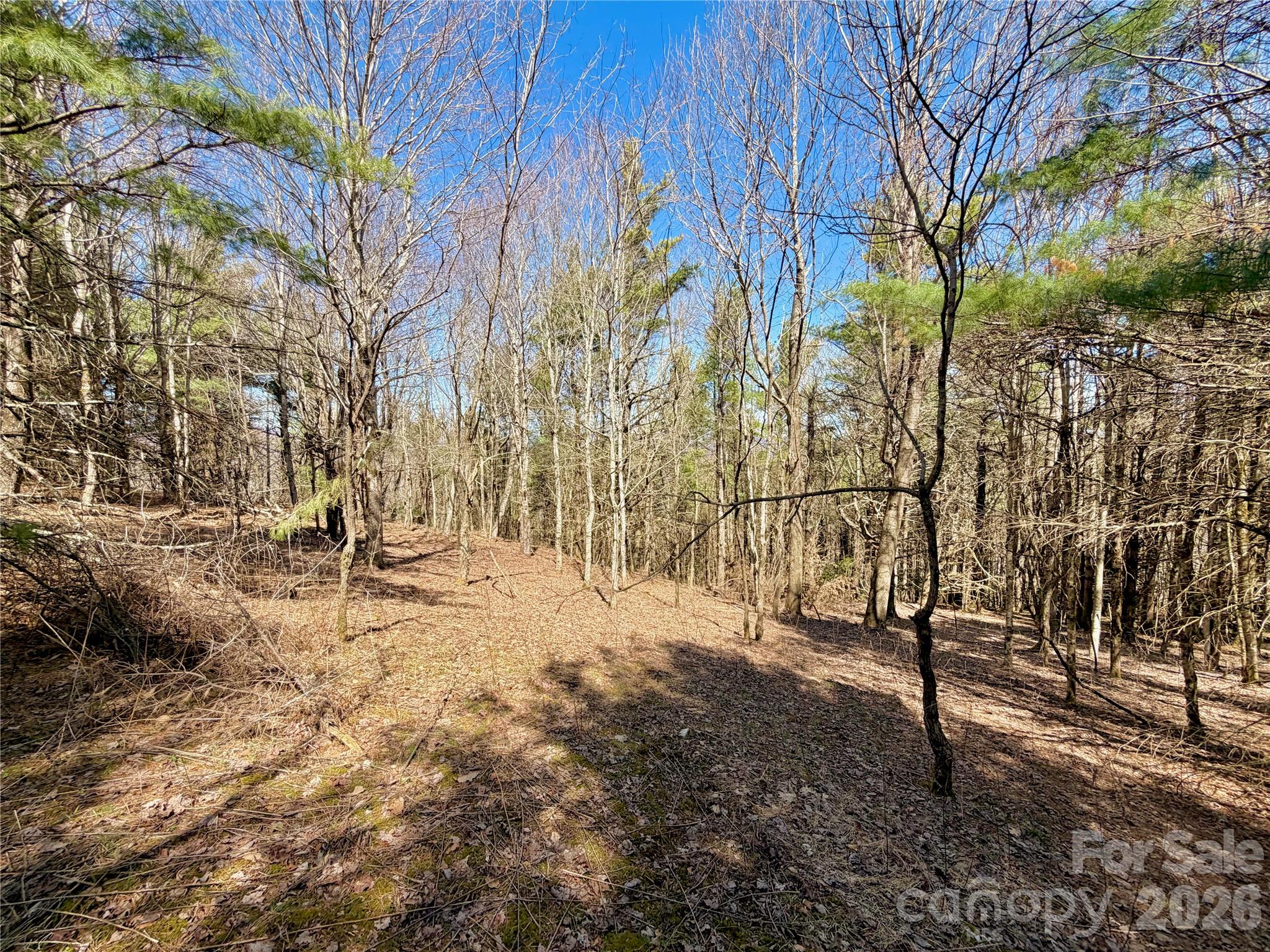 Tbd Grandview Drive Boone NC 28607