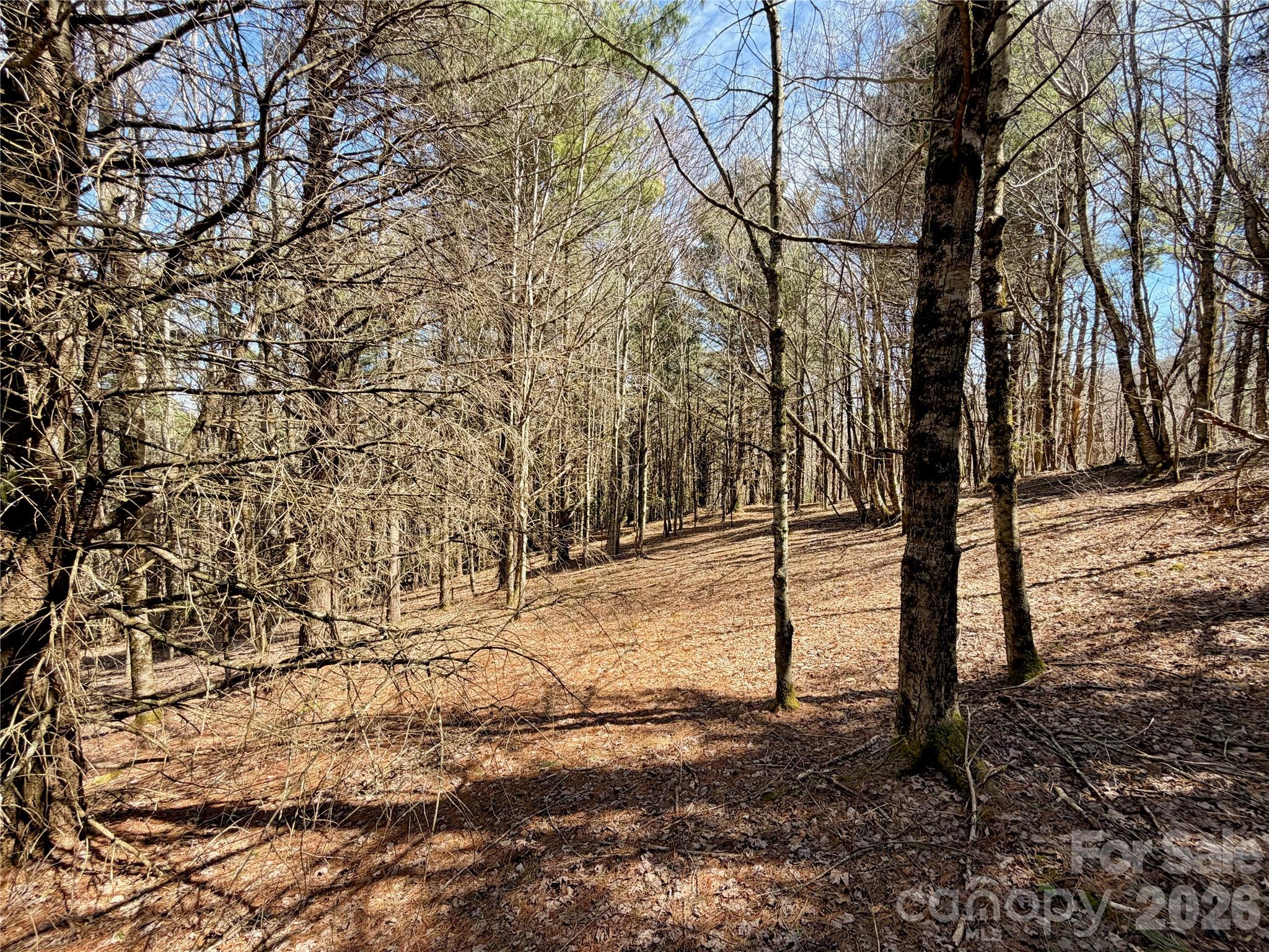 Tbd Grandview Drive Boone NC 28607