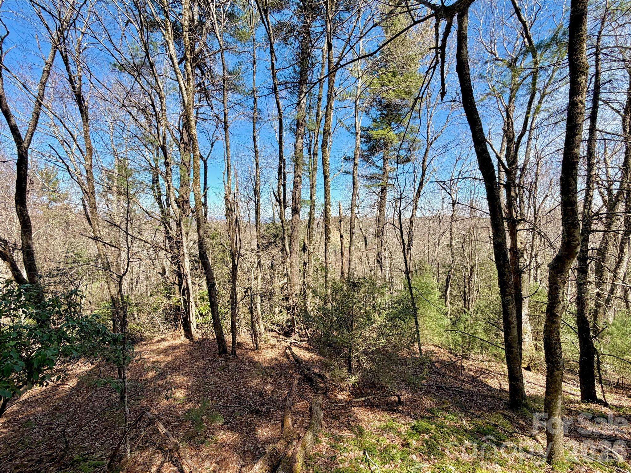 Tbd Grandview Drive Boone NC 28607
