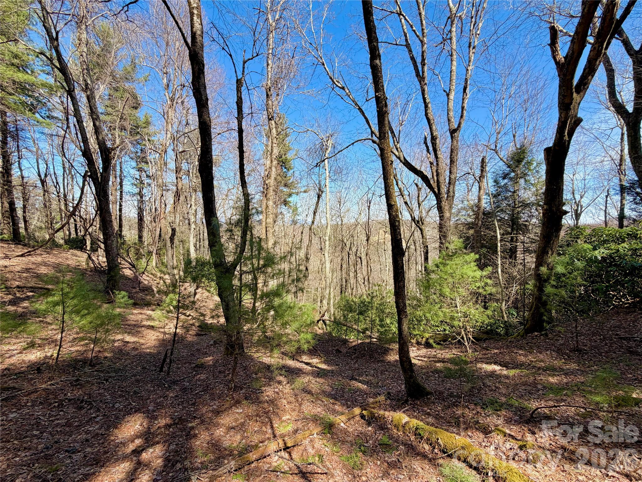 Tbd Grandview Drive Boone NC 28607