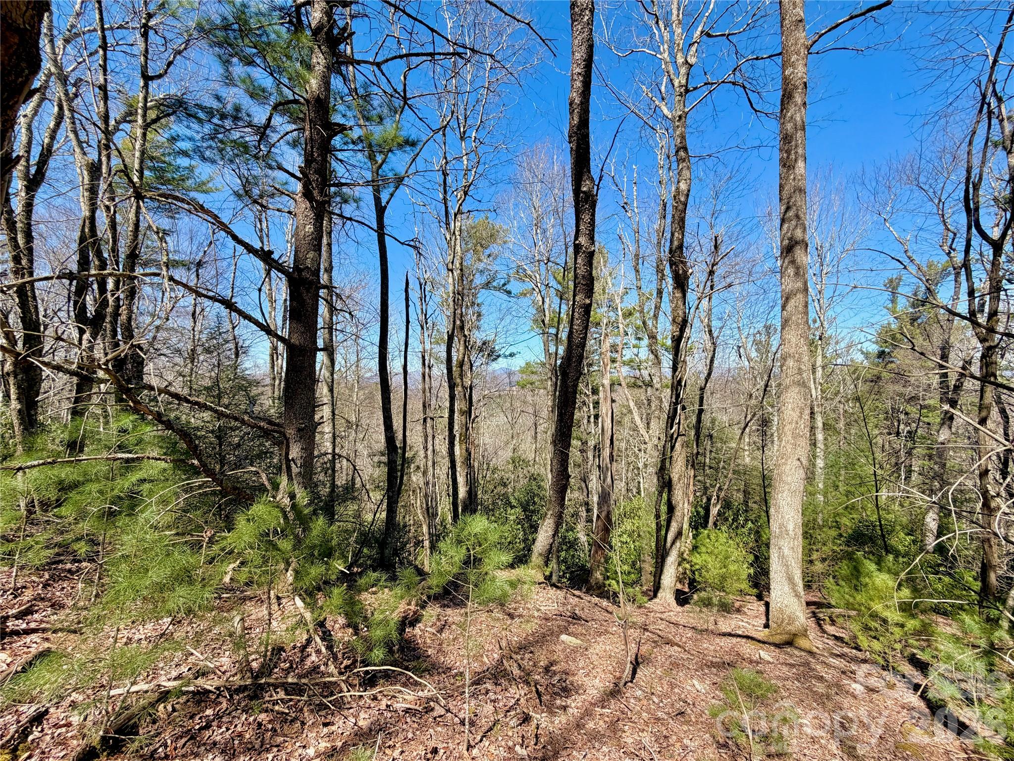 Tbd Grandview Drive Boone NC 28607