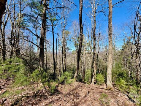 Tbd Grandview Drive Boone NC 28607