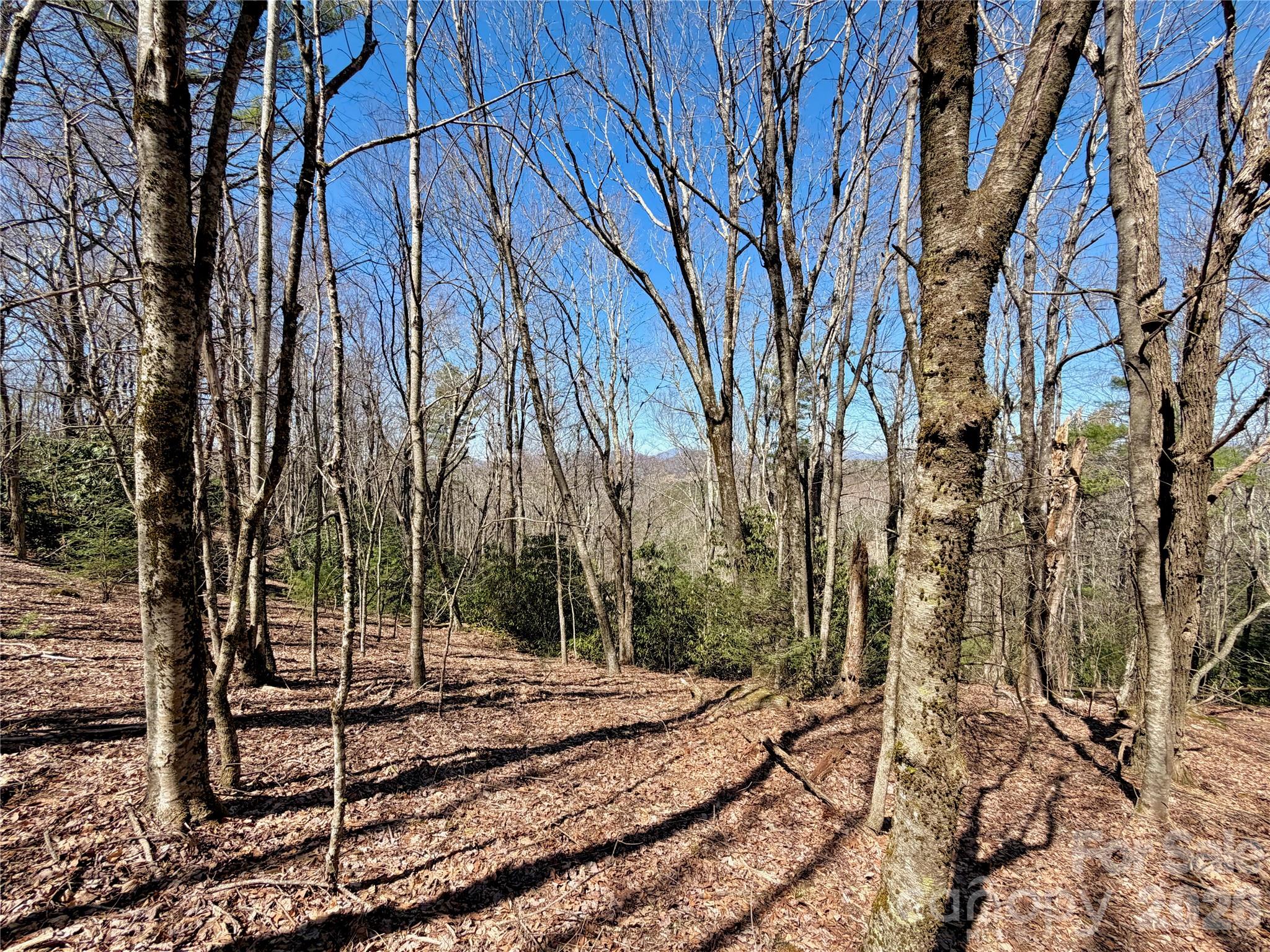 Tbd Grandview Drive Boone NC 28607