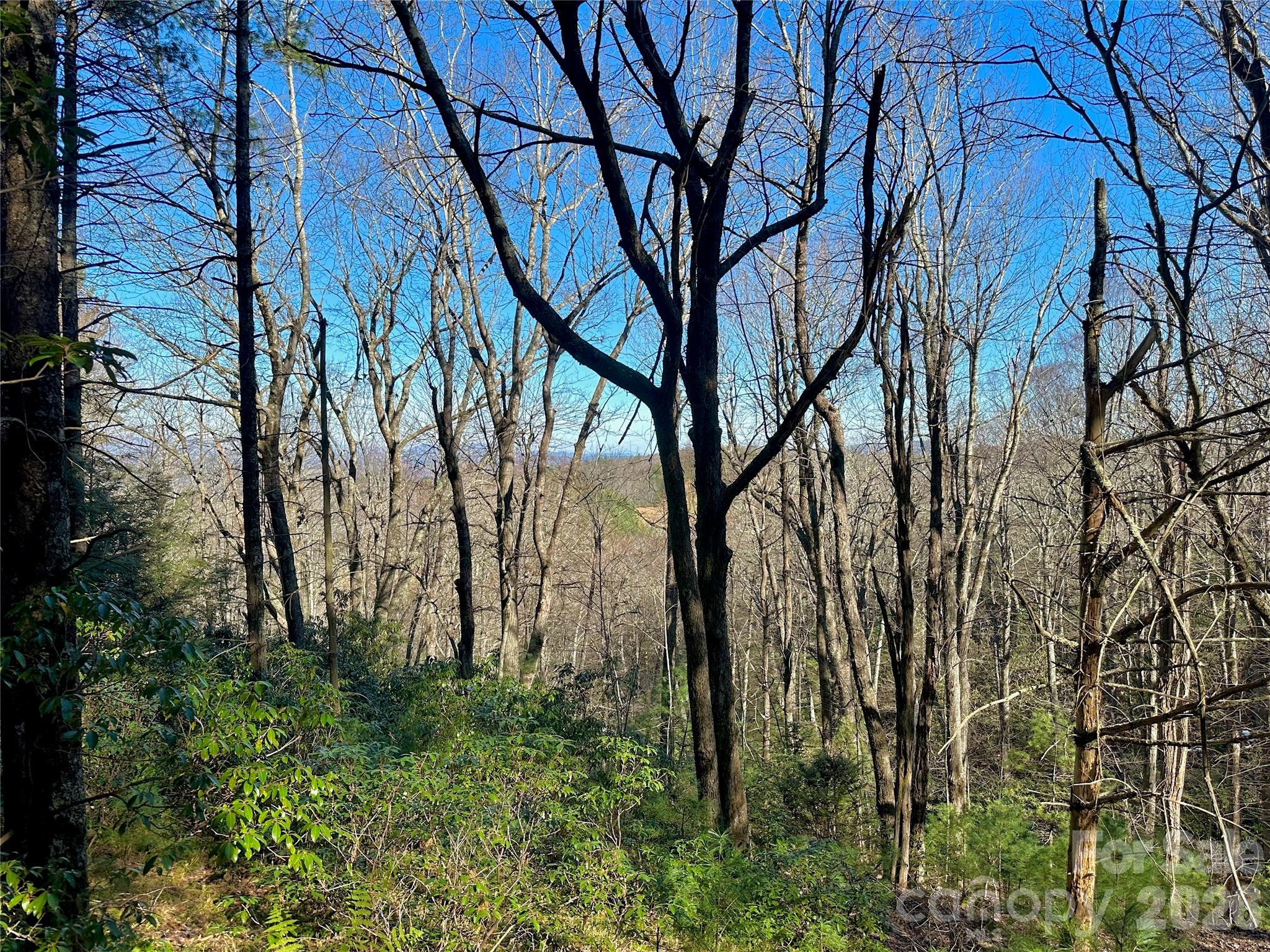 Tbd Grandview Drive Boone NC 28607