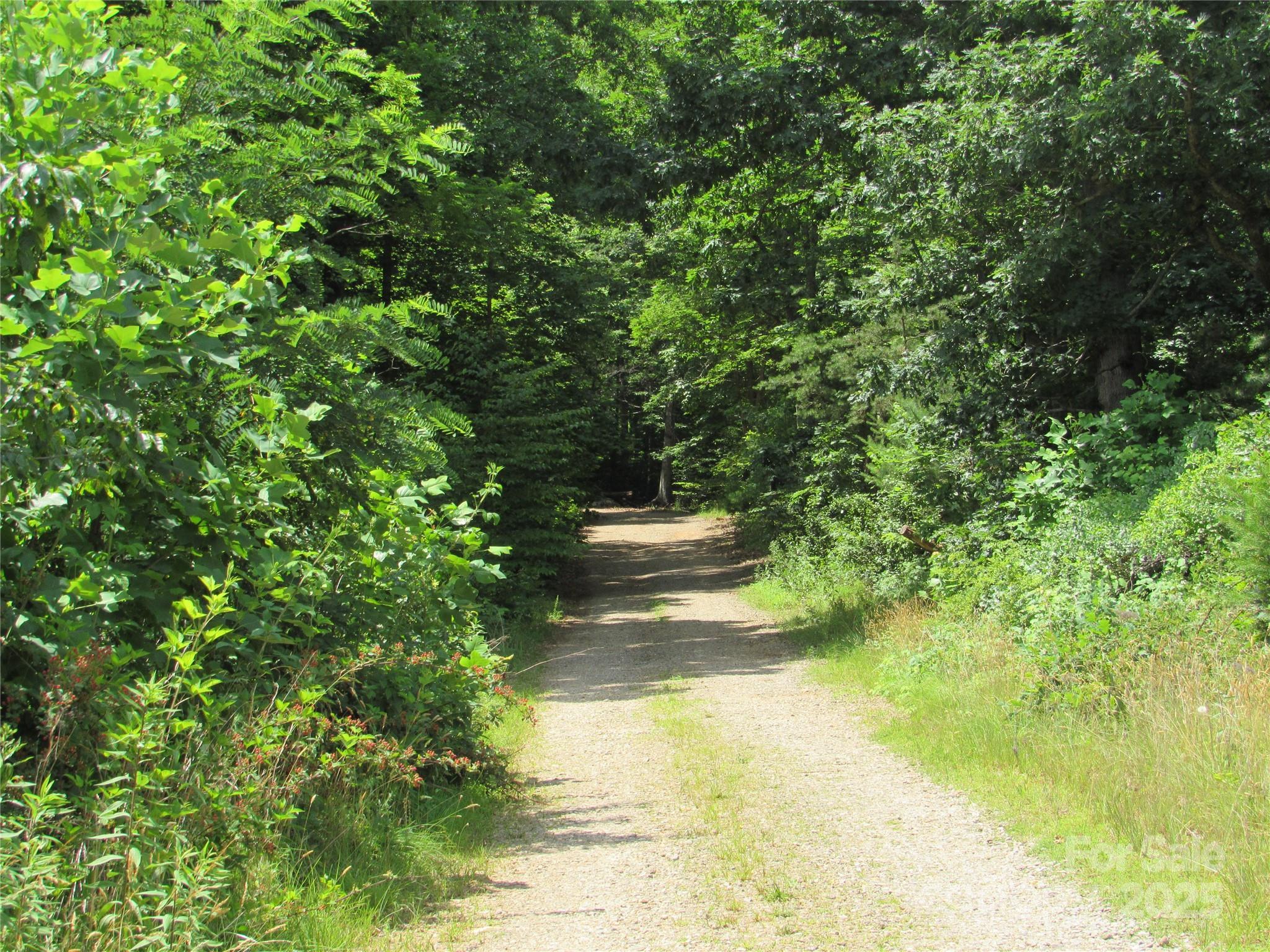 99999 Owen Valley Trail Black Mountain NC 28711