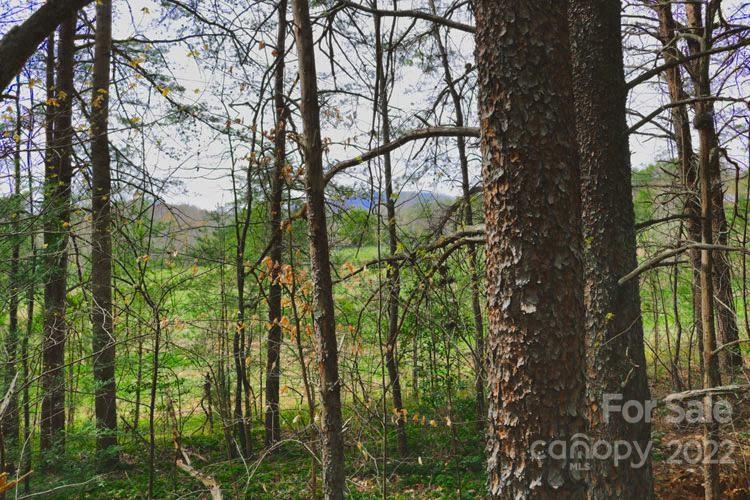 0 Westridge Drive Lake Lure NC 28746