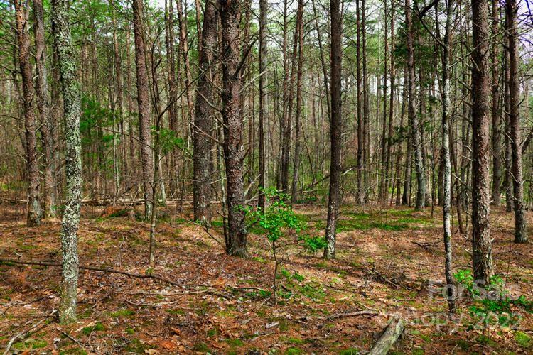 0 Westridge Drive Lake Lure NC 28746