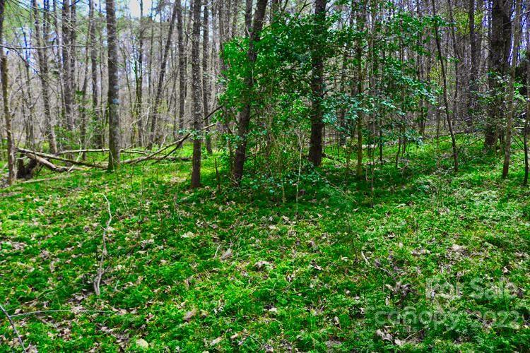 0 Westridge Drive Lake Lure NC 28746