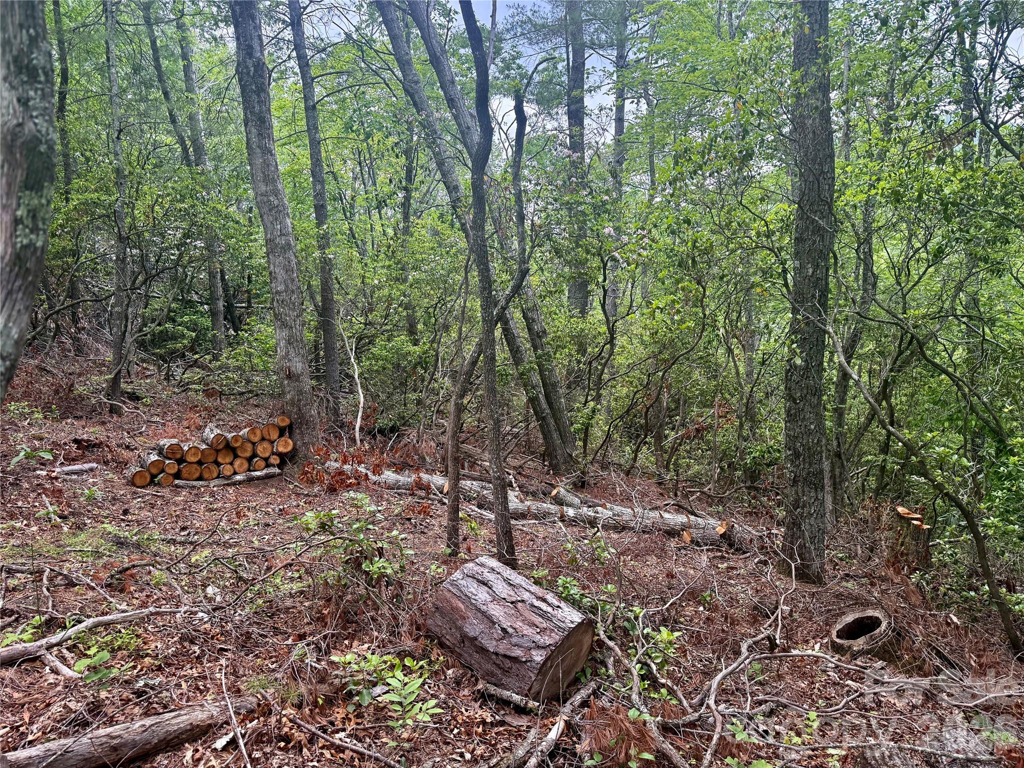 000 Wipprecht Drive Spruce Pine NC 28777
