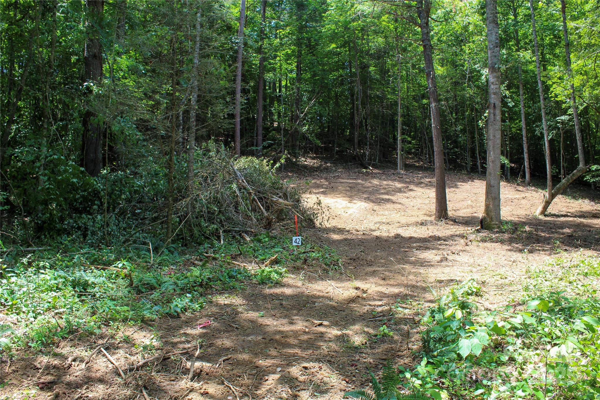 9999 Gabriels Creek Road Mars Hill NC 28754