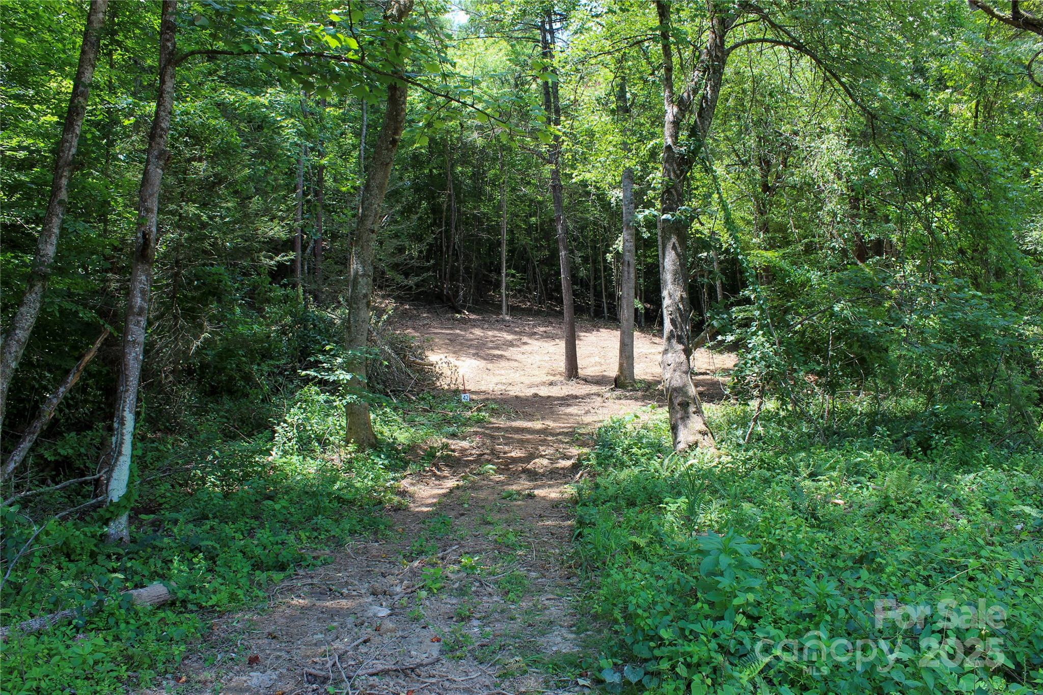 9999 Gabriels Creek Road Mars Hill NC 28754