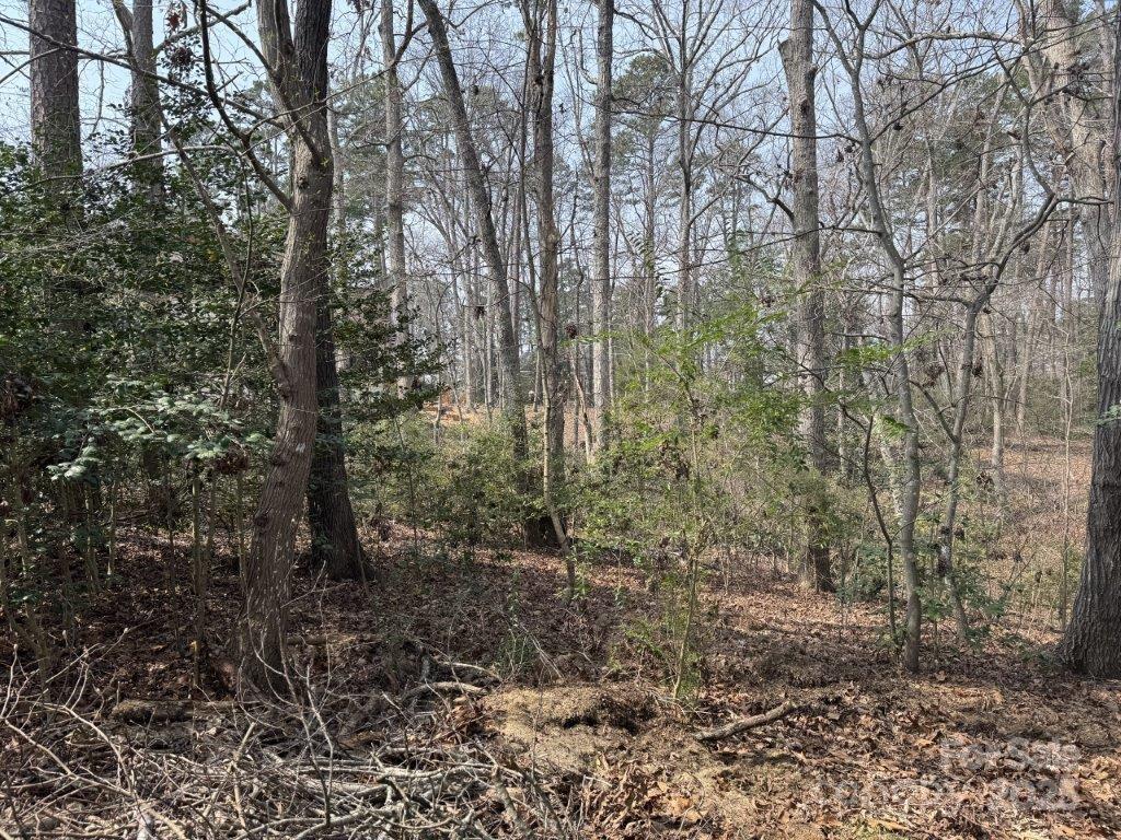 441 Glenbrook Springs New London NC 28127