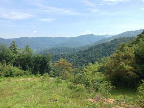 25 Bartrams Walk Drive Asheville NC 28804