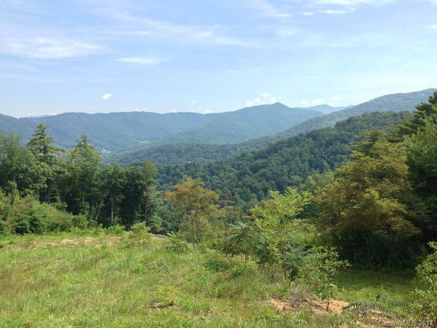 25 Bartrams Walk Drive Asheville NC 28804