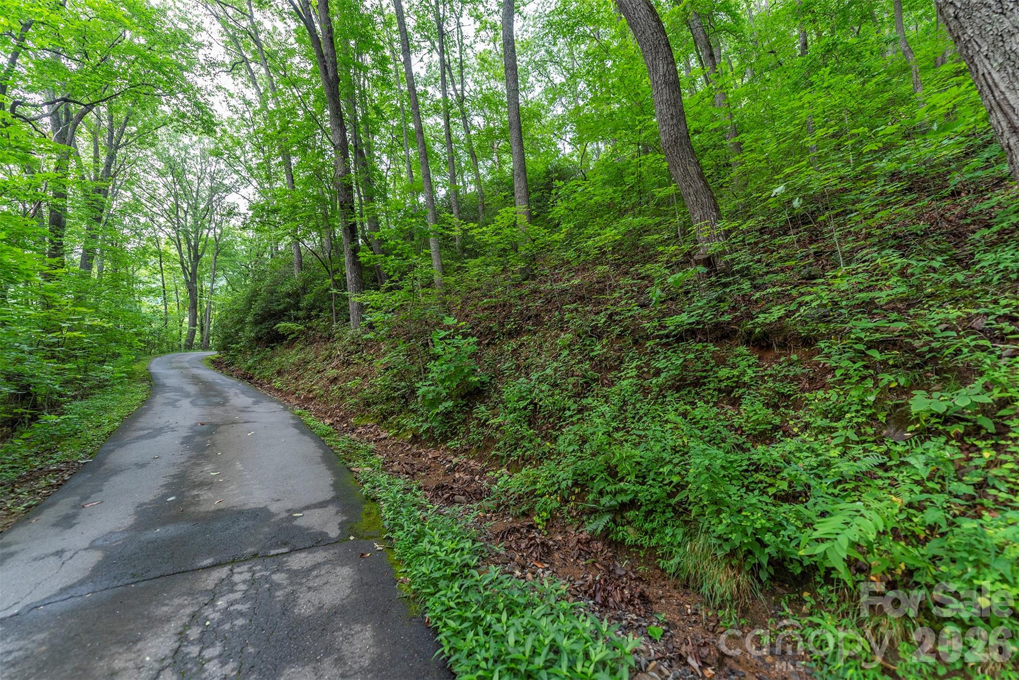 Tbd Summer Haven Road Swannanoa NC 28778