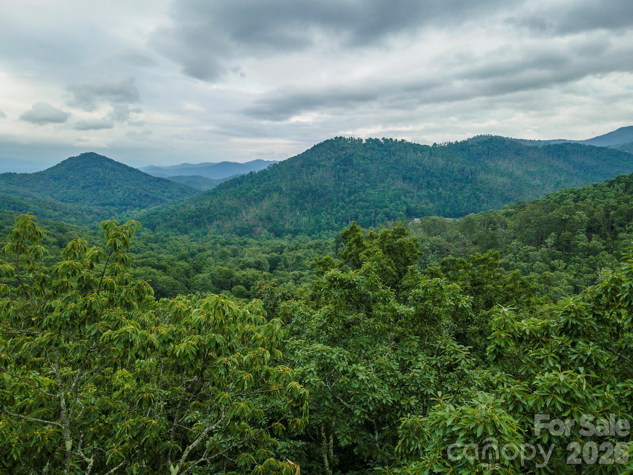 Tbd Summer Haven Road Swannanoa NC 28778