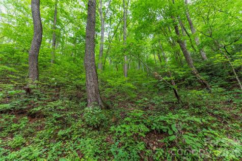 Tbd Summer Haven Road Swannanoa NC 28778