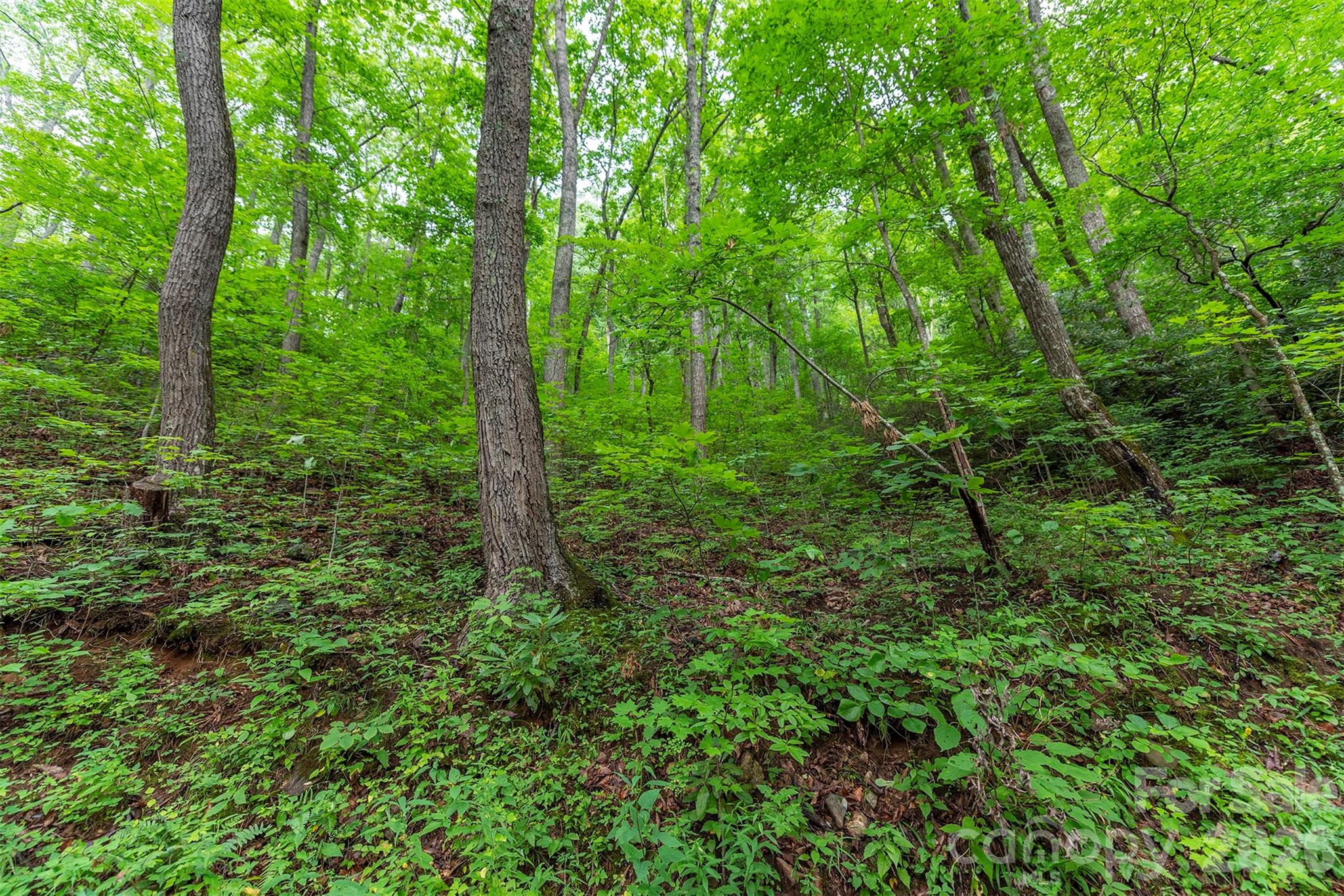 Tbd Summer Haven Road Swannanoa NC 28778