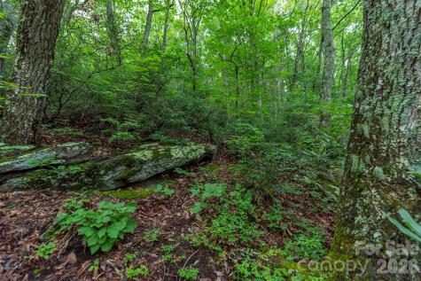 Tbd Summer Haven Road Swannanoa NC 28778