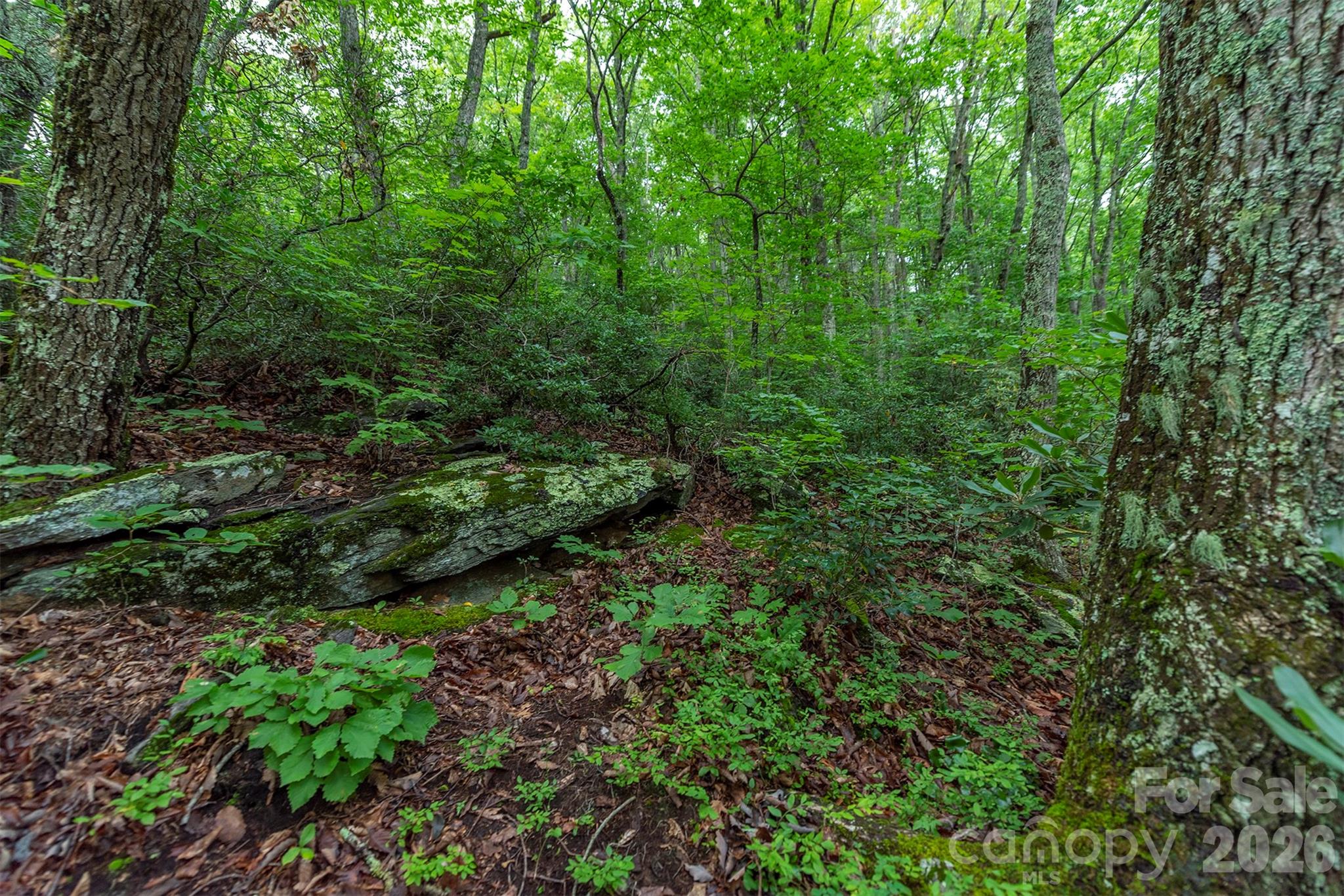 Tbd Summer Haven Road Swannanoa NC 28778