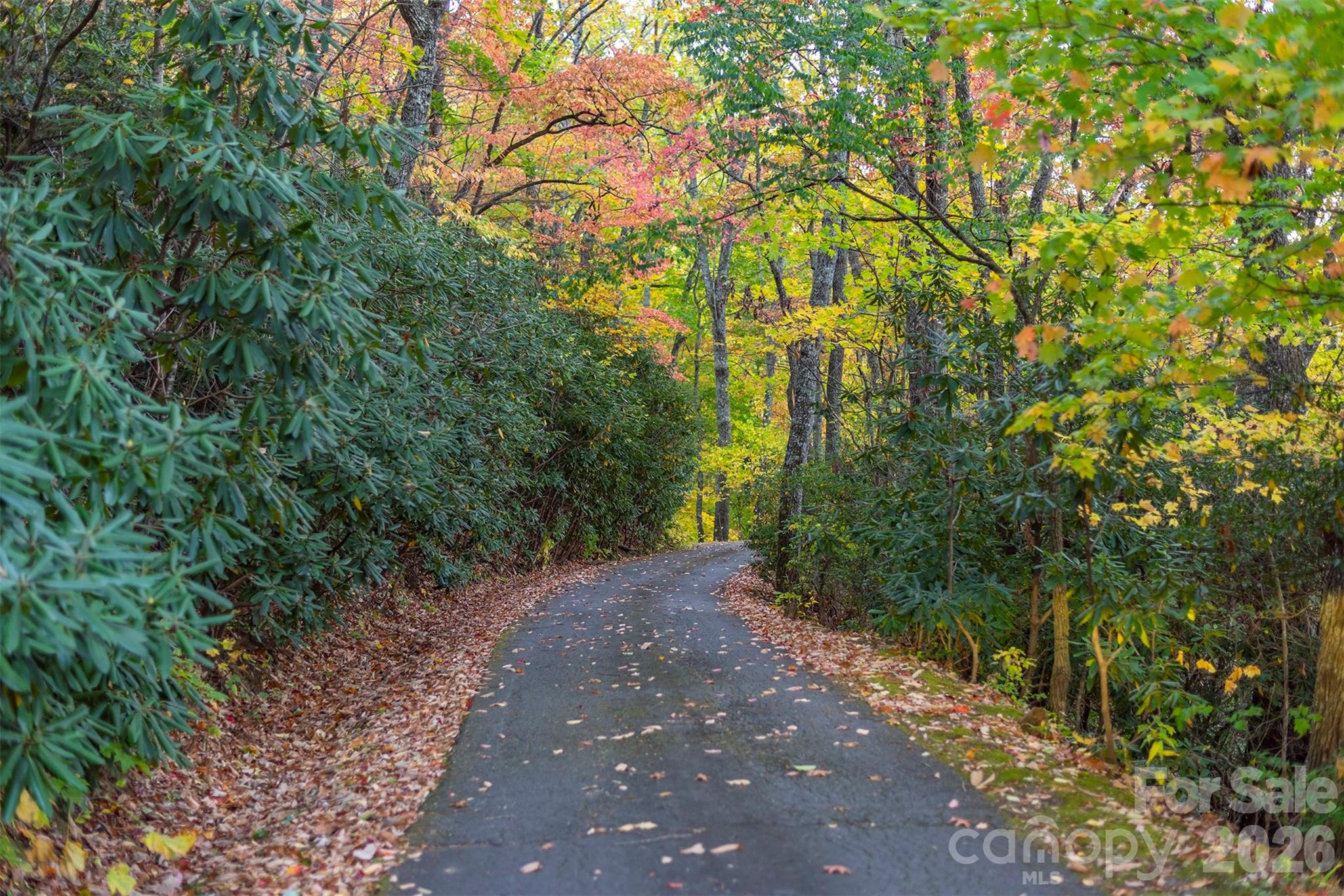 Tbd Summer Haven Road Swannanoa NC 28778