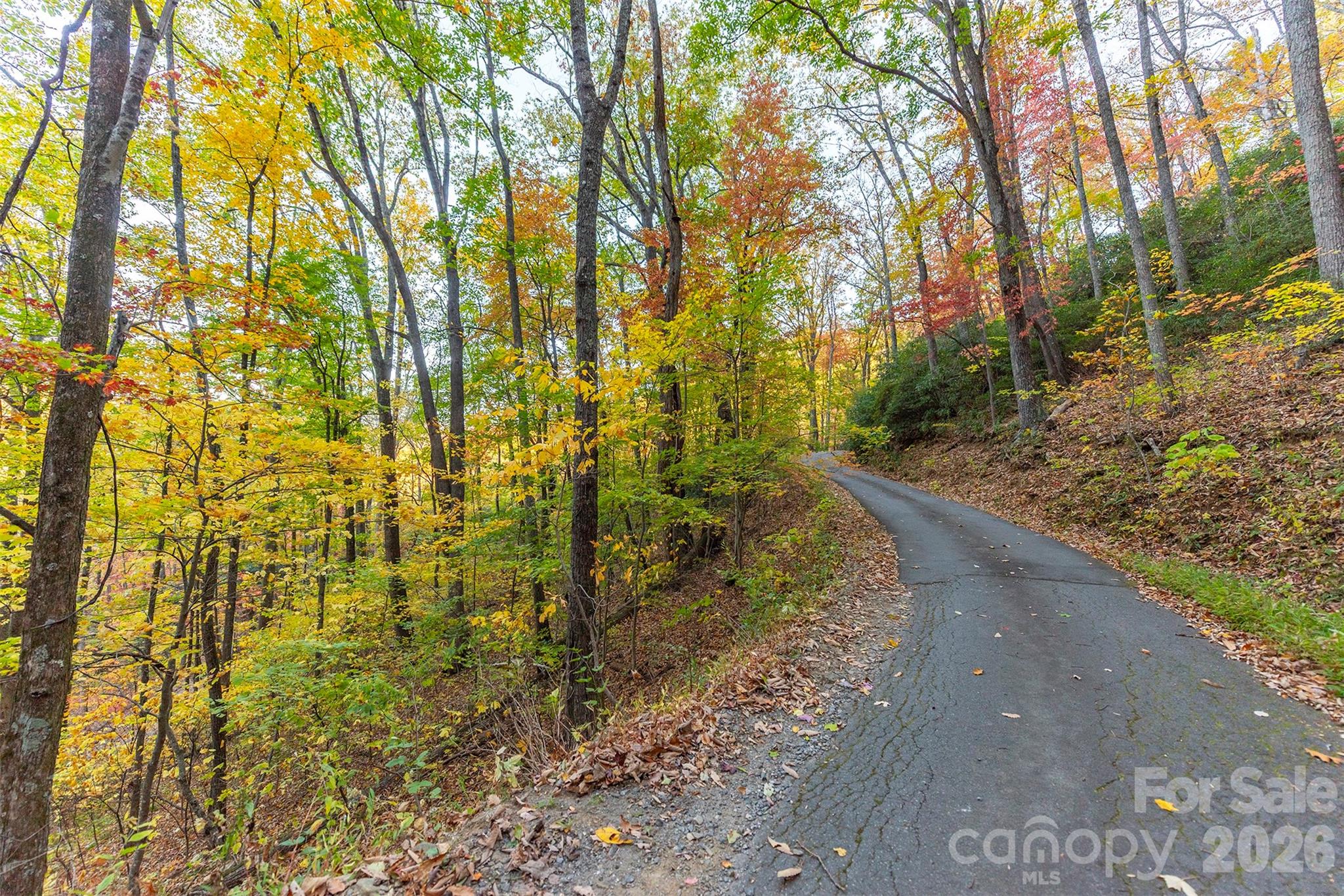 Tbd Summer Haven Road Swannanoa NC 28778
