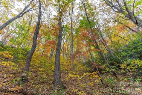 Tbd Summer Haven Road Swannanoa NC 28778