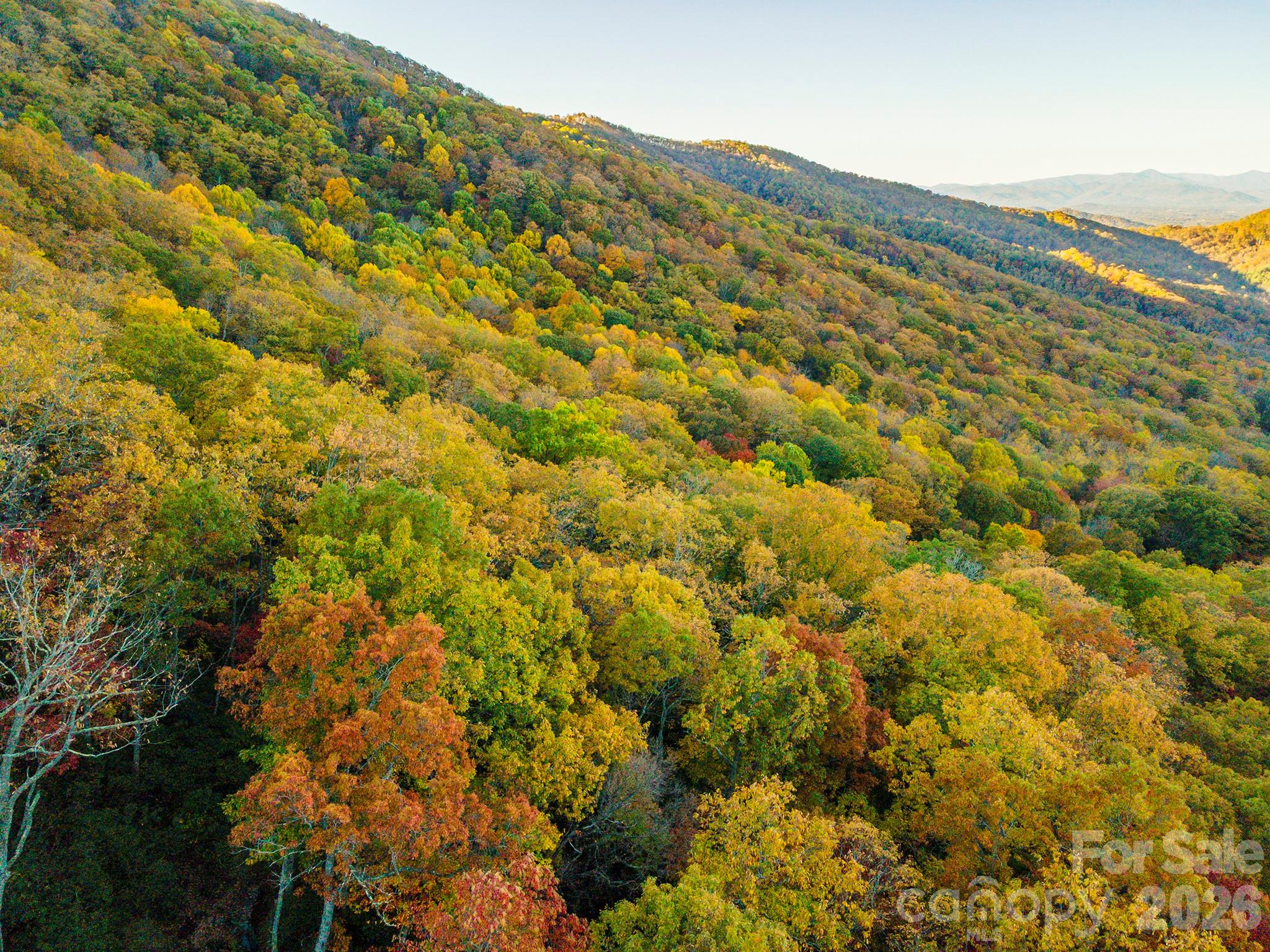 Tbd Summer Haven Road Swannanoa NC 28778