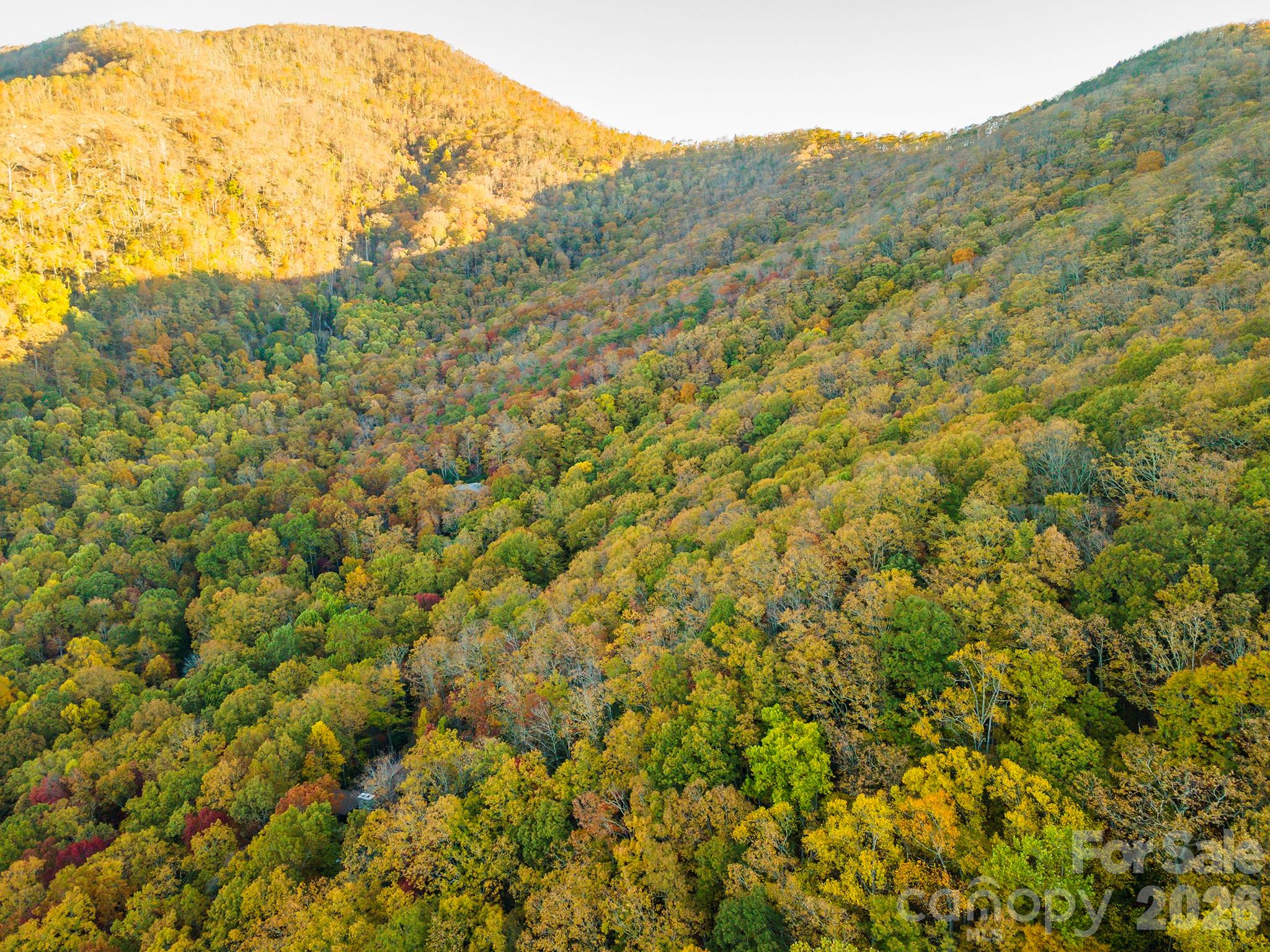 Tbd Summer Haven Road Swannanoa NC 28778