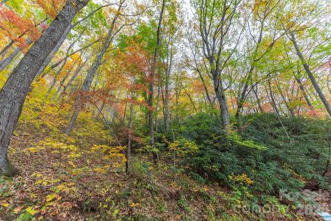 Tbd Summer Haven Road Swannanoa NC 28778