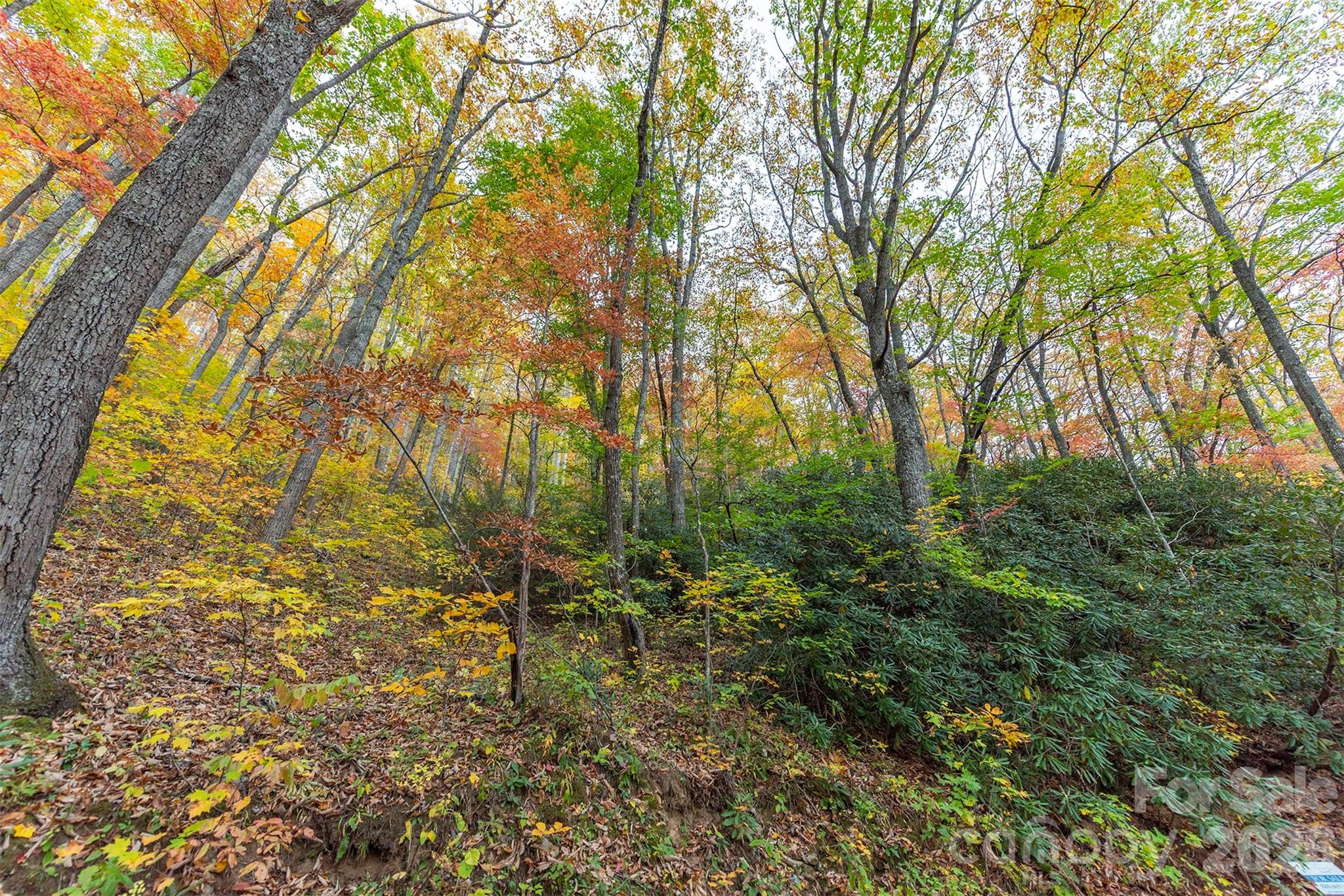 Tbd Summer Haven Road Swannanoa NC 28778