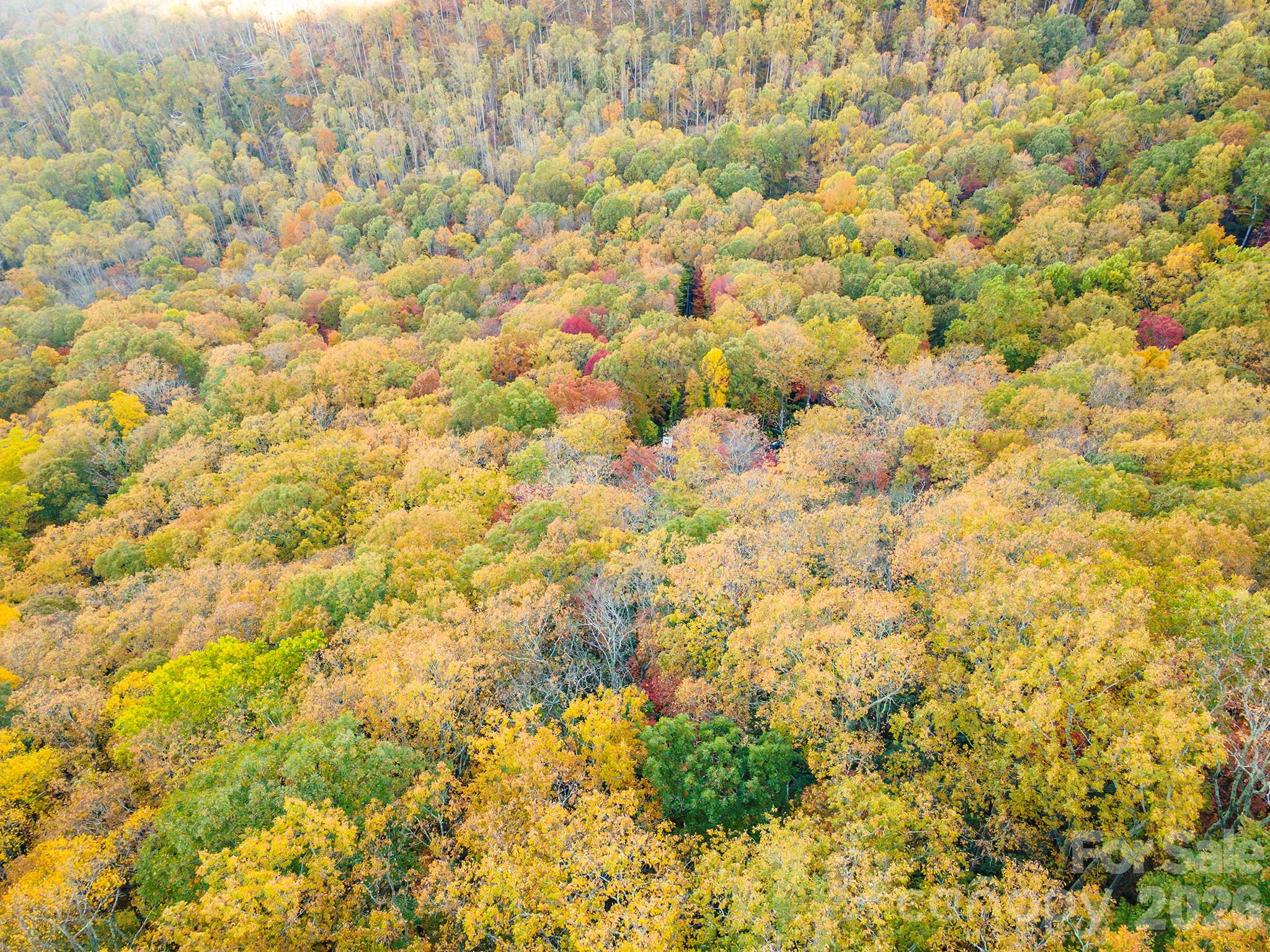 Tbd Summer Haven Road Swannanoa NC 28778