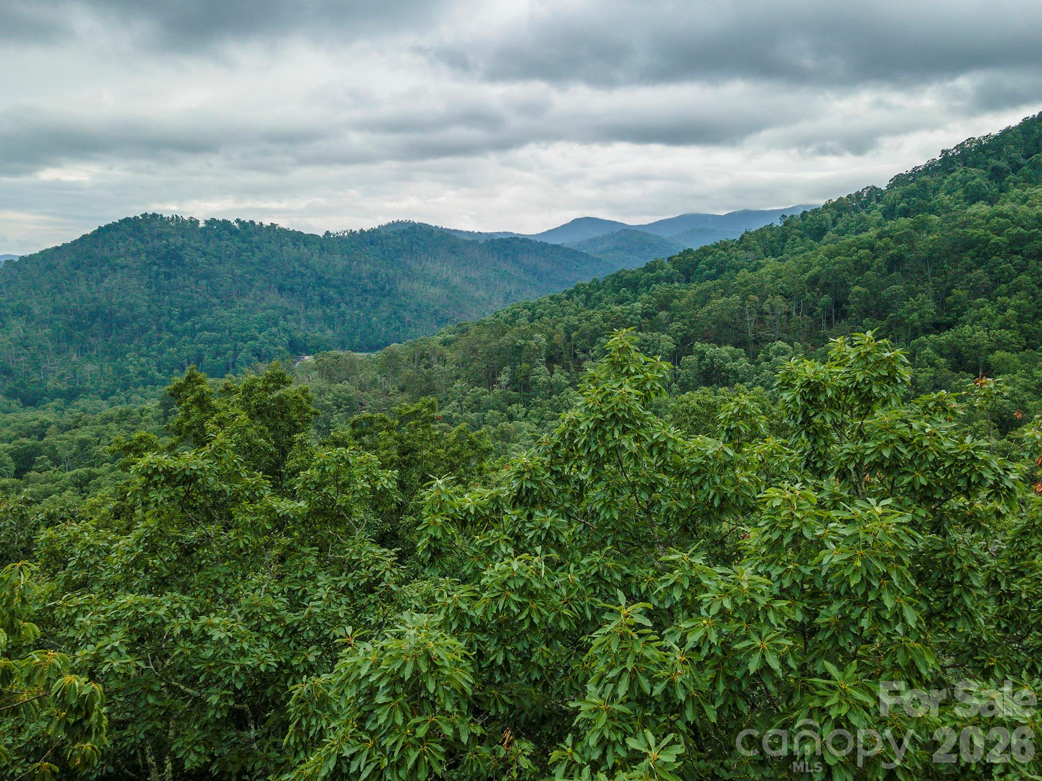 Tbd Summer Haven Road Swannanoa NC 28778