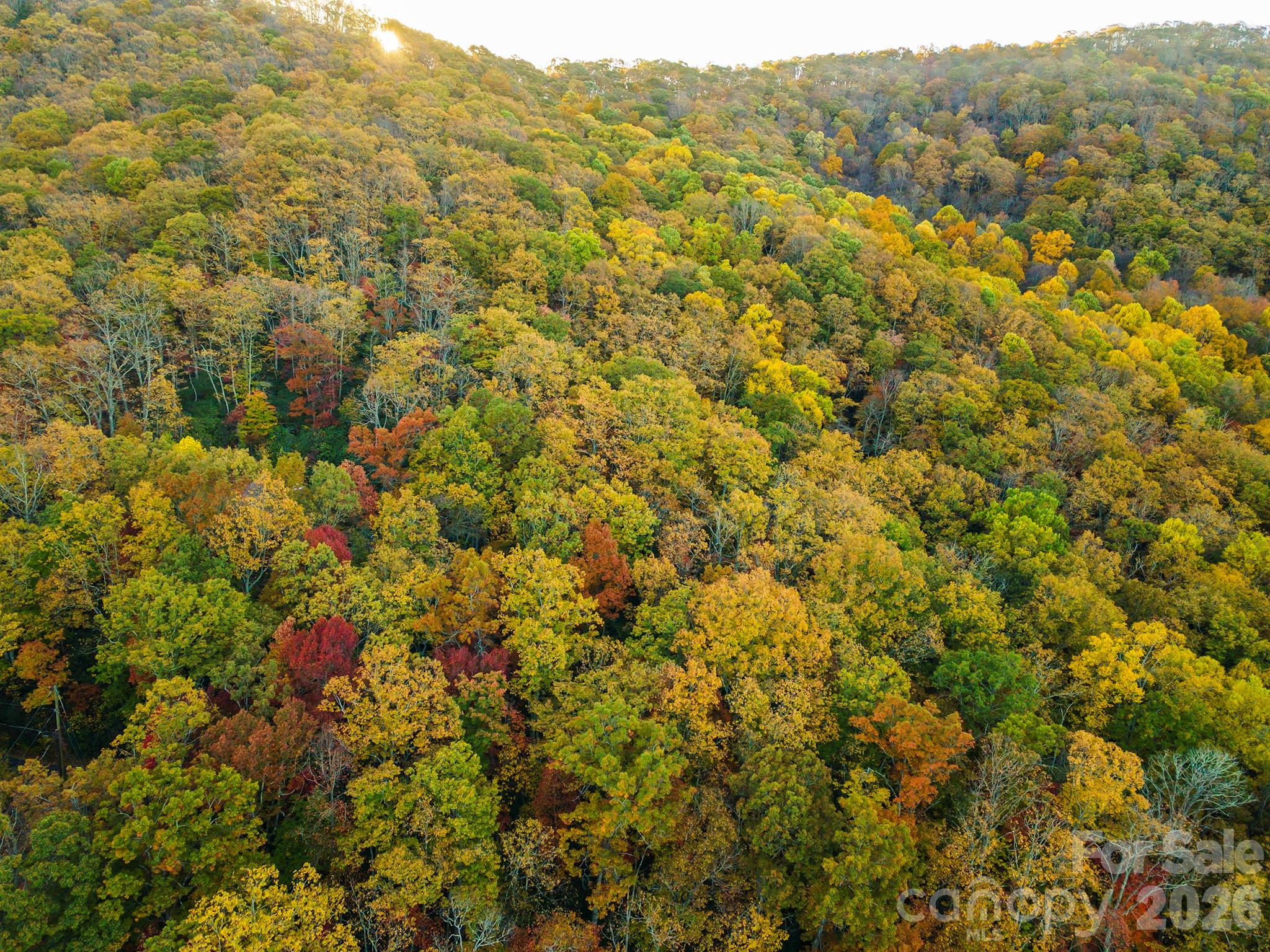 Tbd Summer Haven Road Swannanoa NC 28778