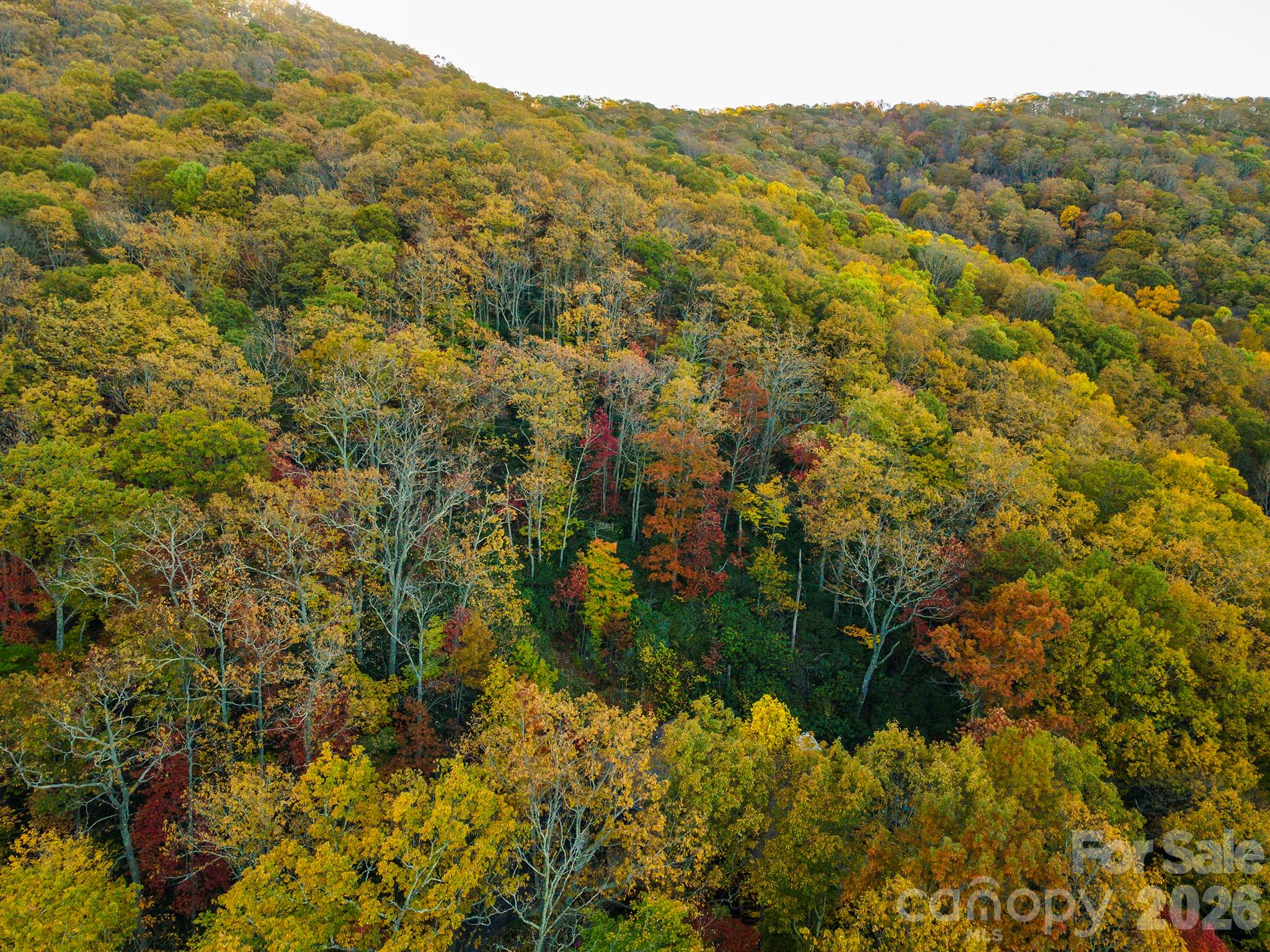 Tbd Summer Haven Road Swannanoa NC 28778