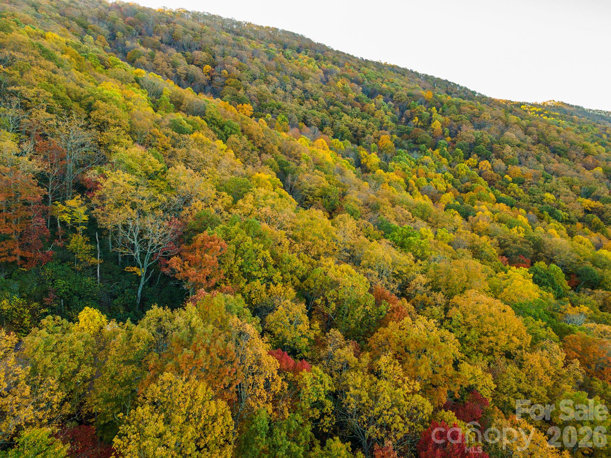 Tbd Summer Haven Road Swannanoa NC 28778
