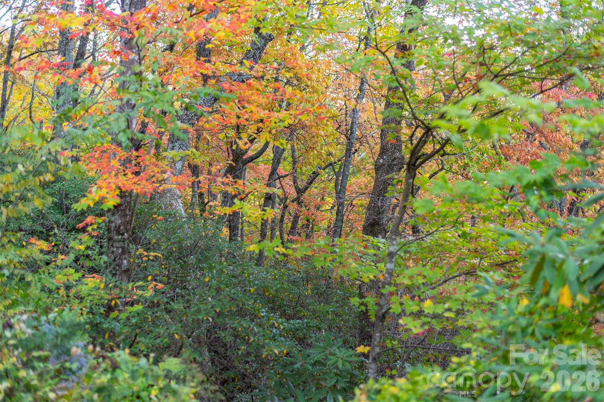 Tbd Summer Haven Road Swannanoa NC 28778