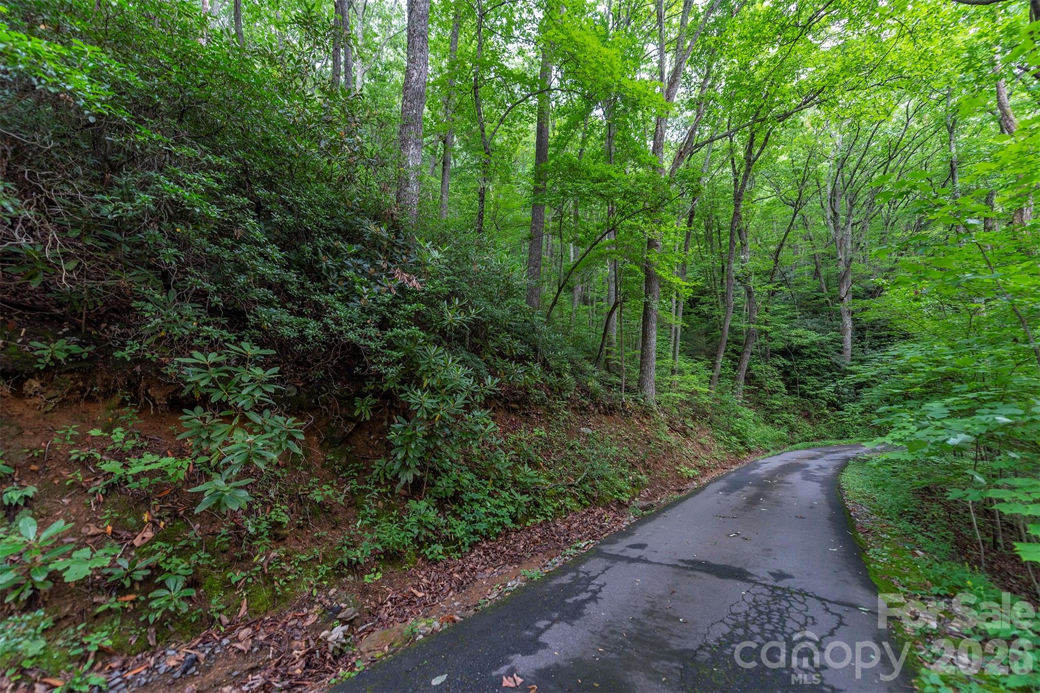Tbd Summer Haven Road Swannanoa NC 28778